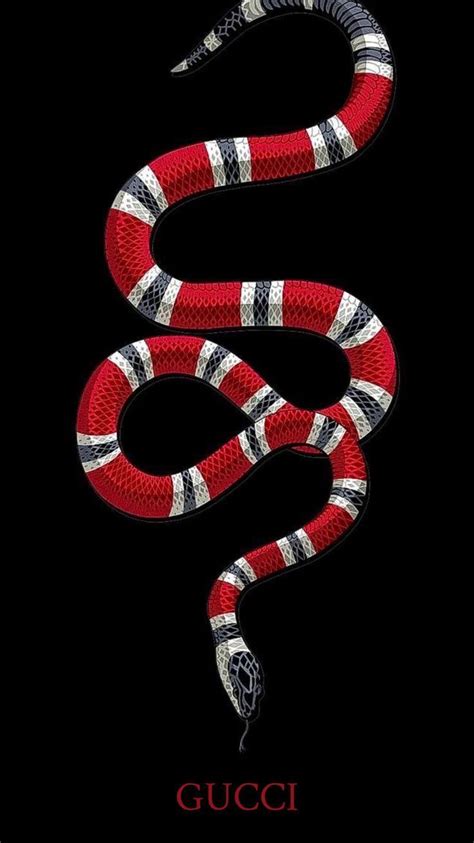 gucci snake phone background|gucci snake logo wallpaper.